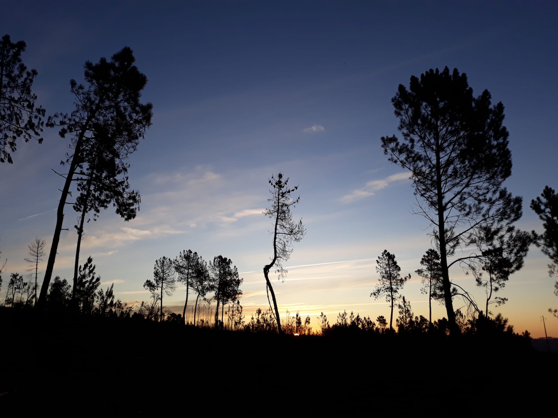 Vale de garcia zonsopkomst