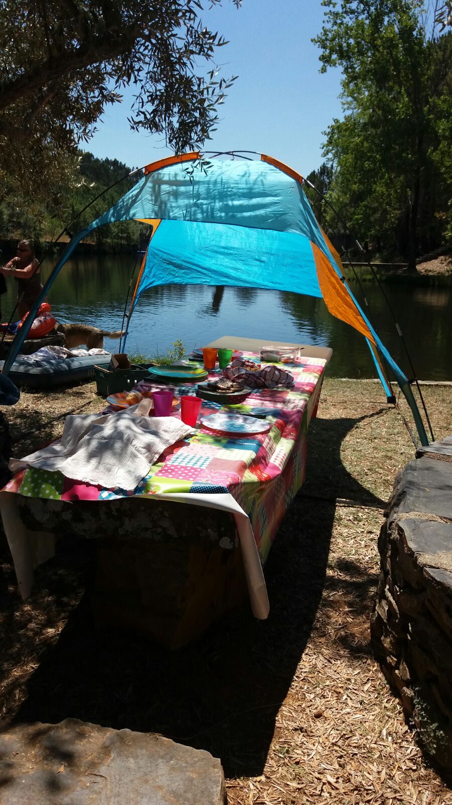 Picknick aan het water troviscal